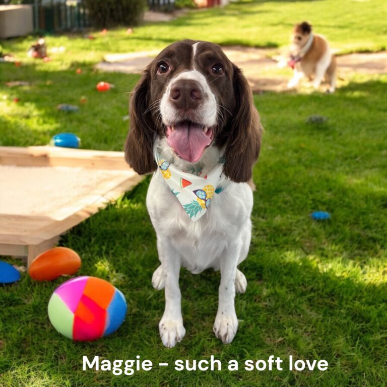 Maggie