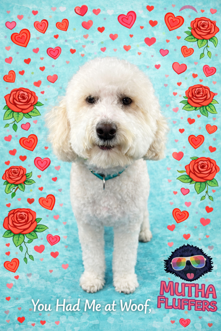 3F6C4AE6-D29A-4C6B-A148-892B70D85BD2