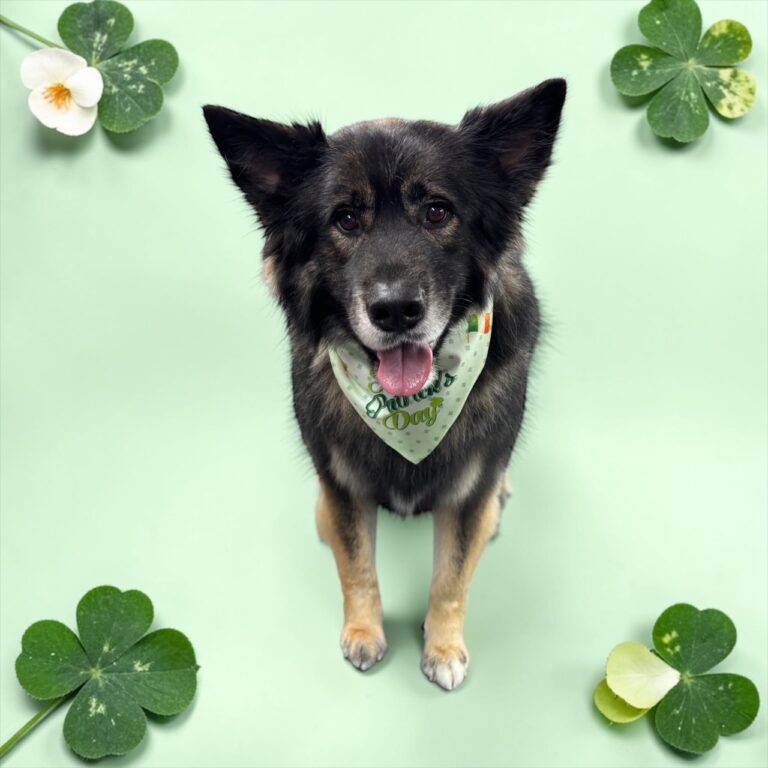 Photoroom_20260225_203636